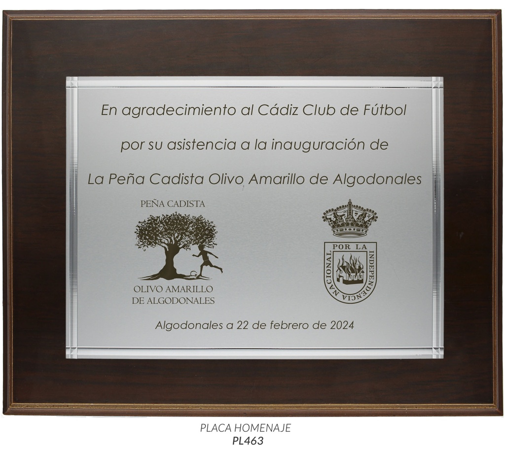 __ext__/GRABACION PLACA HOMENAJE
