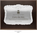 __ext__/GRABACION PLACA HOMENAJE