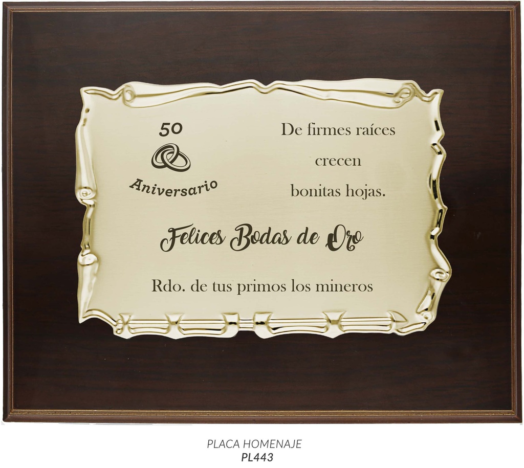 __ext__/GRABACION PLACA HOMENAJE