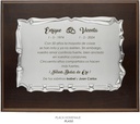 __ext__/GRABACION PLACA HOMENAJE