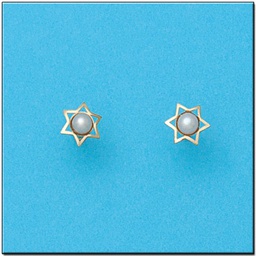 [P382] PENDIENTES EN ORO DE 18KL ESTRELLA
