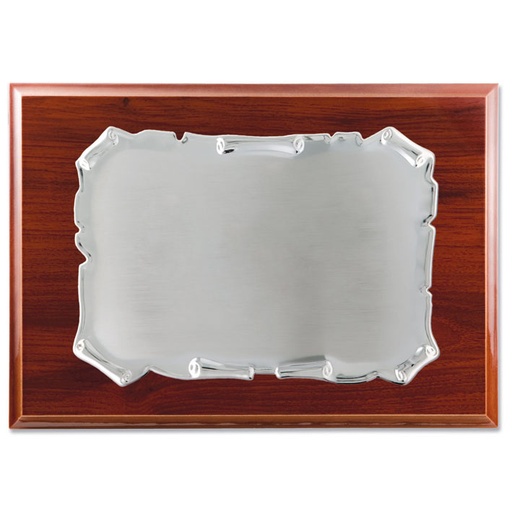PLACA HOMENAJE METAL PLATEADO - 26X21CM 19X13CM